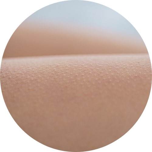 Organ Haut Hautarztpraxis Freudenberger